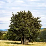 Kammweg 3* نيوشتات أم رينشتايغ