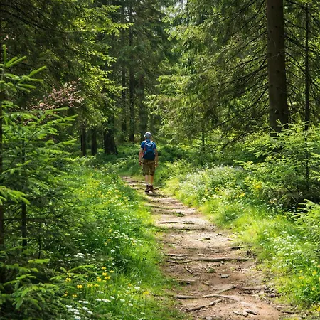 Szálloda Kammweg 3*